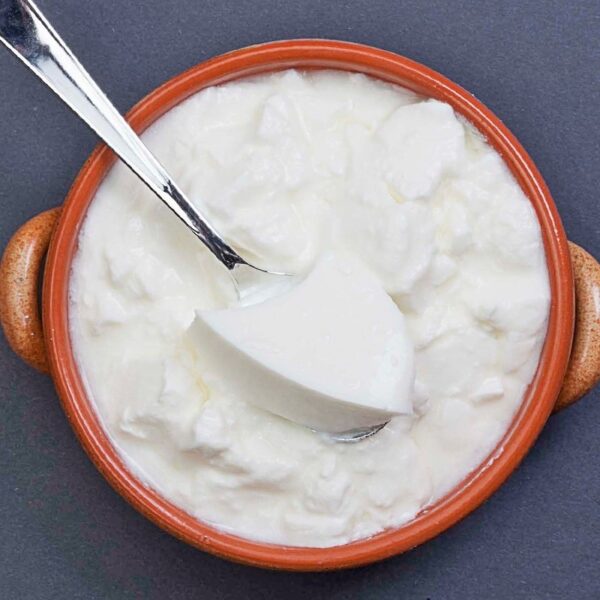 Plain Yogurt